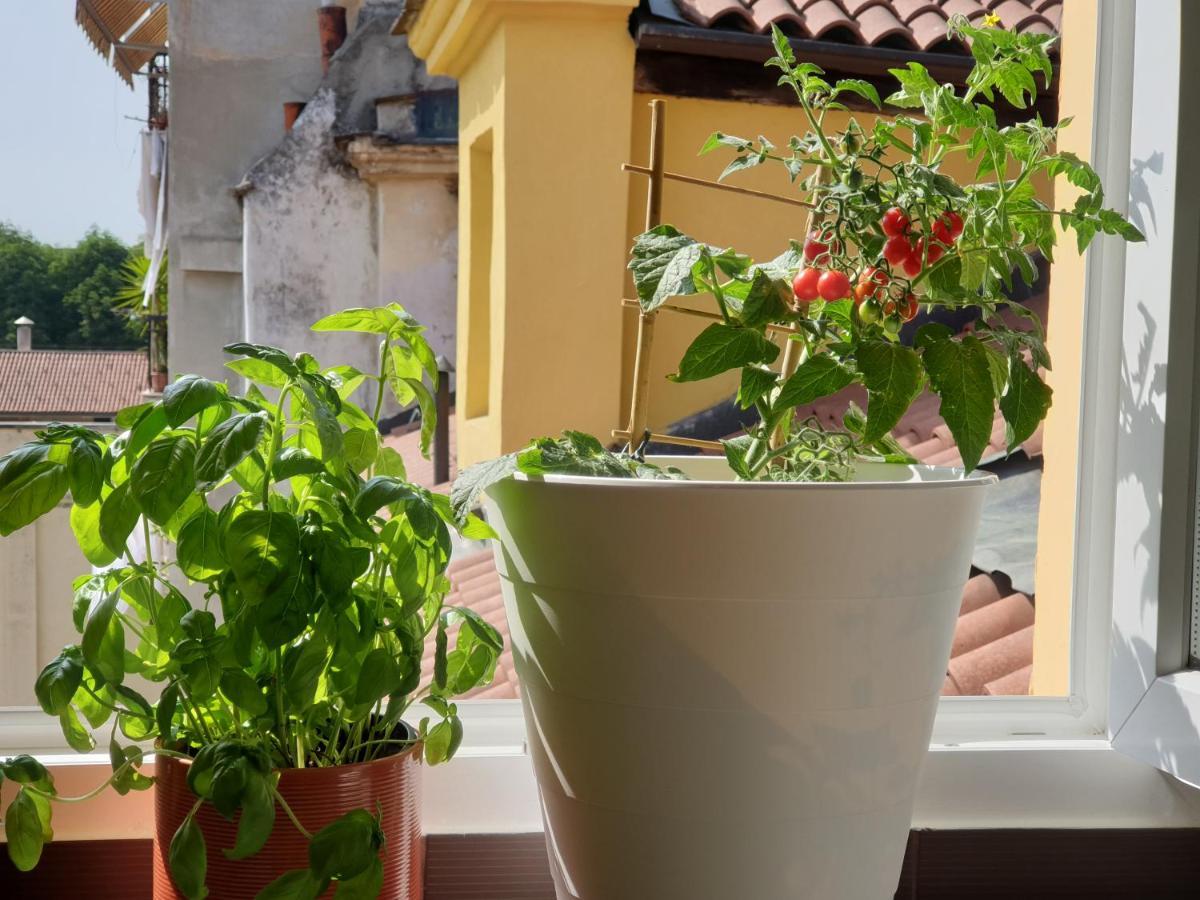 Romantica Mansarda Nel Cuore Di Torino Εξωτερικό φωτογραφία